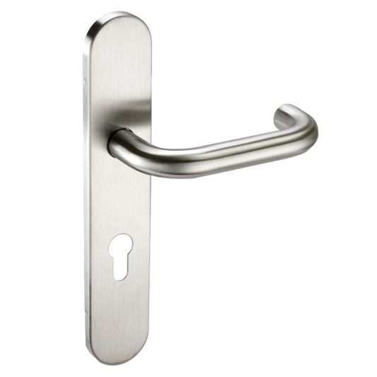 ASEC Radius Backplate Lever Furniture DDA - Lever Euro
