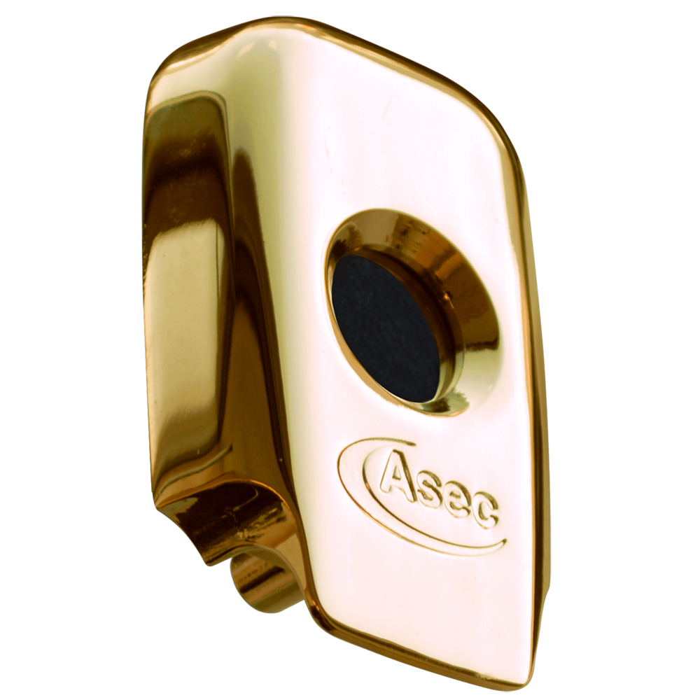 ASEC BS Nightlatch Housing - Brass