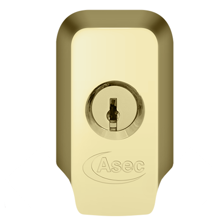 ASEC High Security Rim Cylinder Pull With Cylinder - Polished Brass
