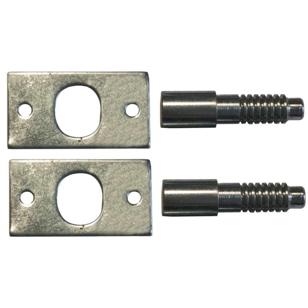 ASEC Hinge Bolt - Pair Bagged