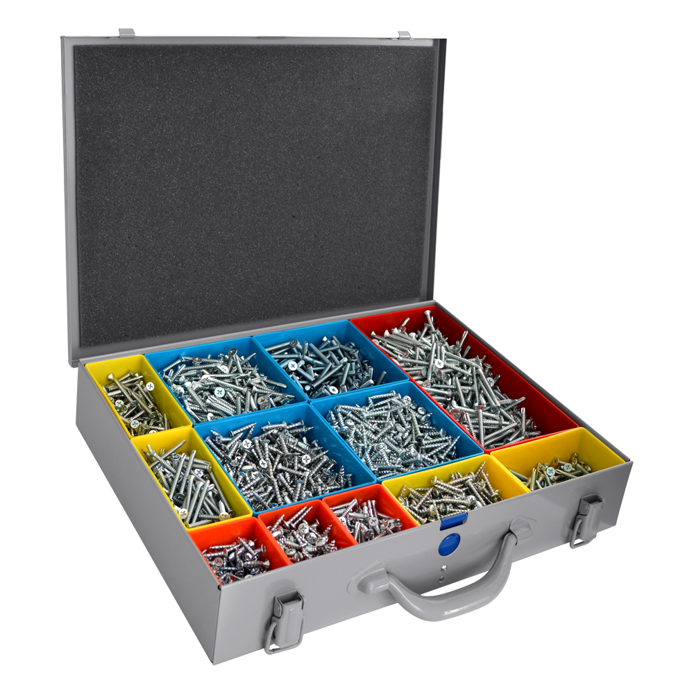 RAPIERSTAR UPVC Repair Screw Case Kit - 12 UPVC Screw Types