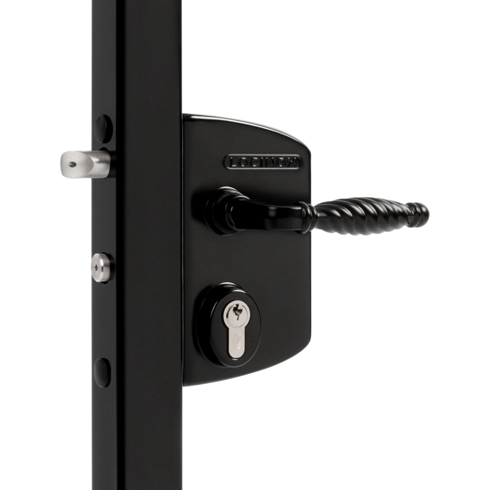 LOCINOX Surface Mounted Gate Lock - LAPQ10 U2 Black (10mm - 30mm)
