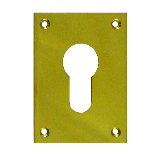 SOUBER TOOLS EE1 Front Fix Euro Escutcheon - PB