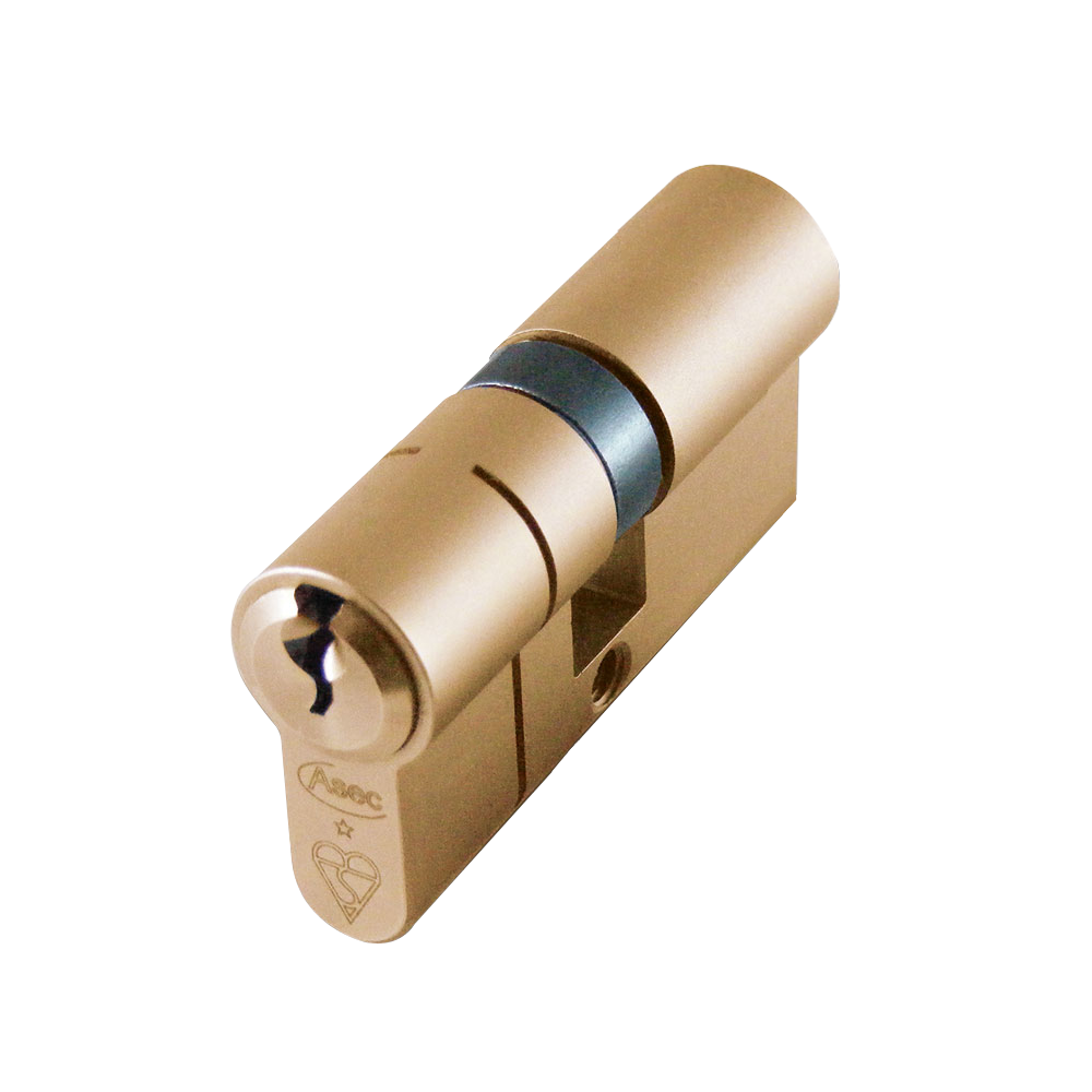 ASEC Kite BS 1 Star Kitemarked Euro Double Cylinder - 60mm 30/30 (25/10/25) KD SB Visi