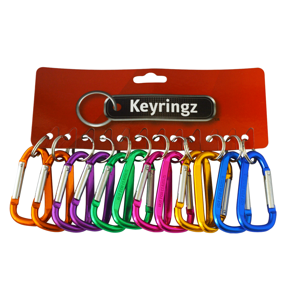 ASEC Metal Carabiner Key Ring - Large