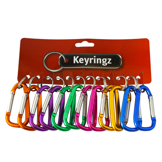 ASEC Metal Carabiner Key Ring - Large