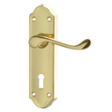 ASEC Ashstead Plate Mounted Lever Furniture - PB Long Plate Lever Lock Visi