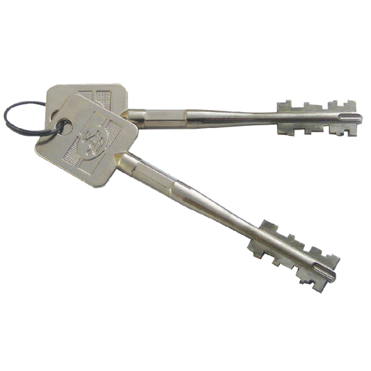 SARGENT & GREENLEAF 6880-452 Key Set - 45mm 2 Key Set