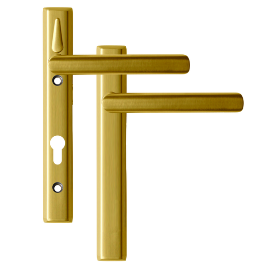 LOXTA Stealth Double Locking Lever Handle (Blank External) - 122mm 92PZ - Polished Gold