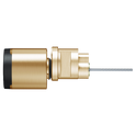 EVVA AirKey Rim Proximity Cylinder - Polished Brass