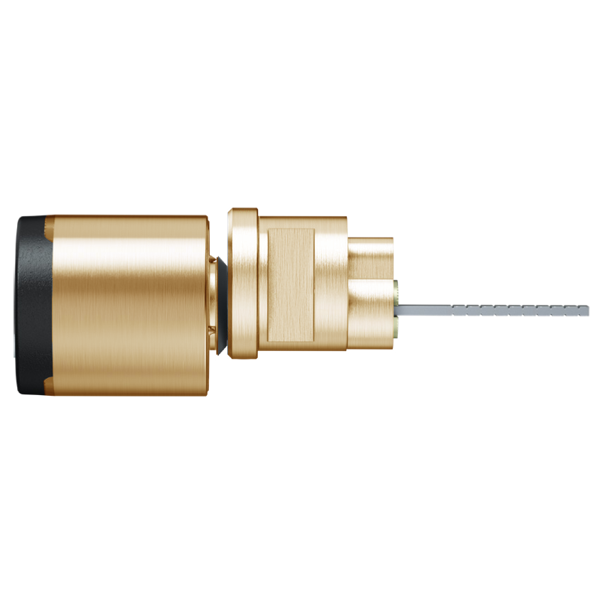 EVVA AirKey Rim Proximity Cylinder - Polished Brass