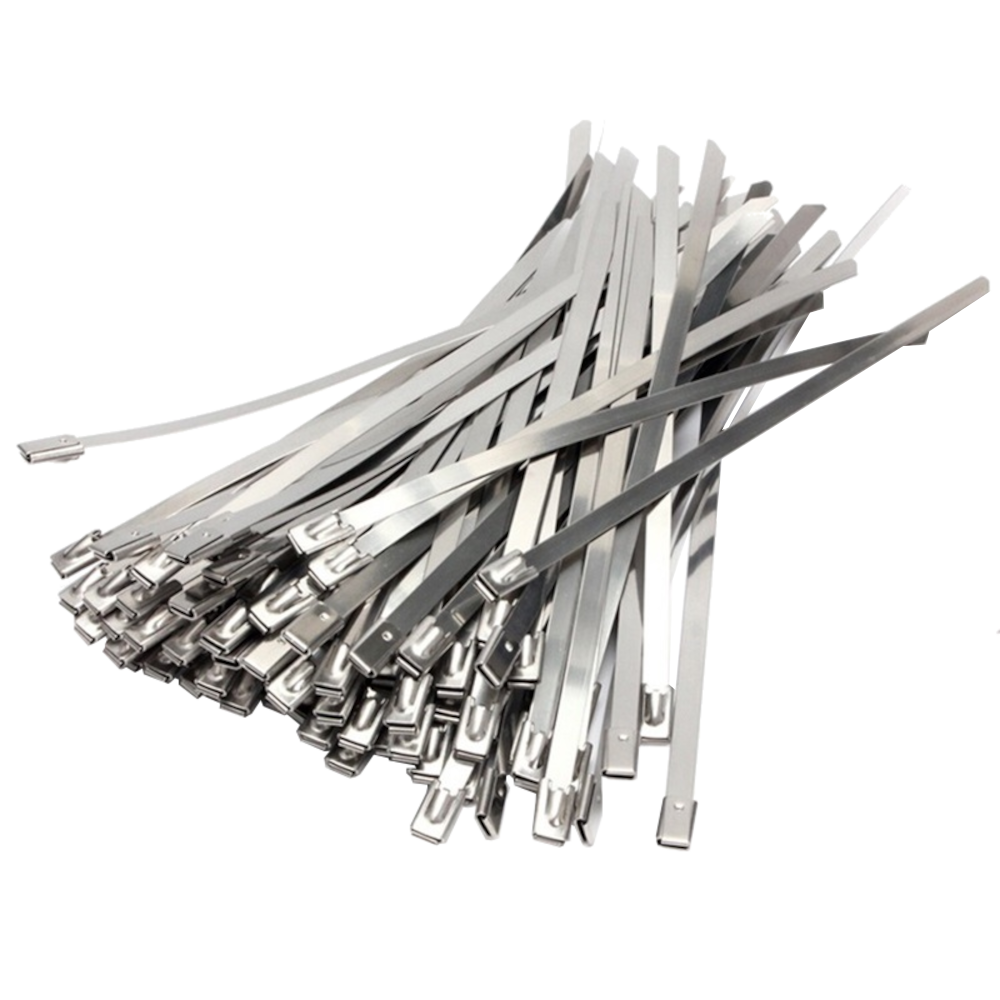 HAYDON MARKETING Stainless Steel Cable Ties 100 Pack - 200mm x 4.6mm
