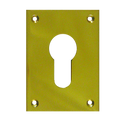 SOUBER TOOLS EE1 Front Fix Euro Escutcheon - PB