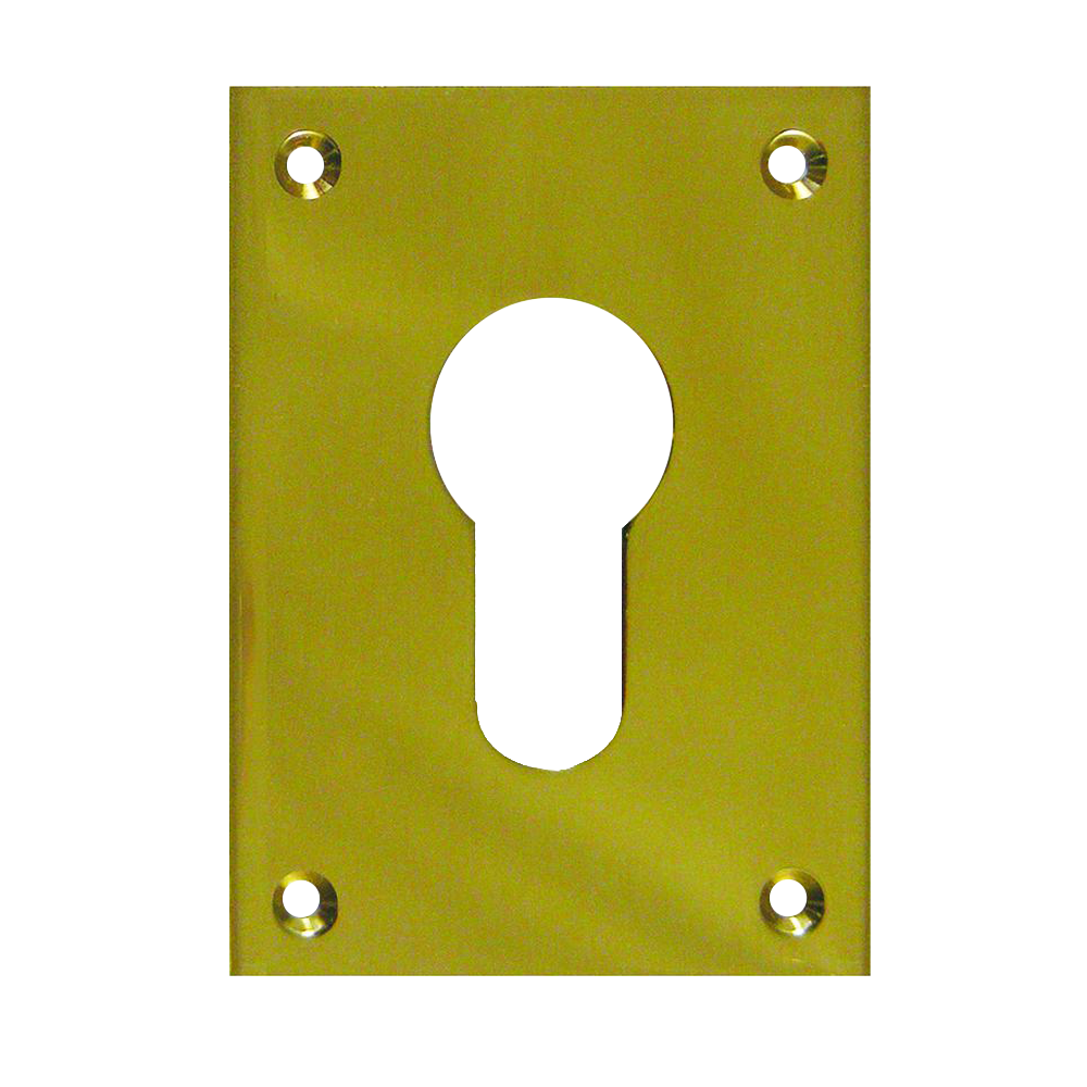 SOUBER TOOLS EE1 Front Fix Euro Escutcheon - PB