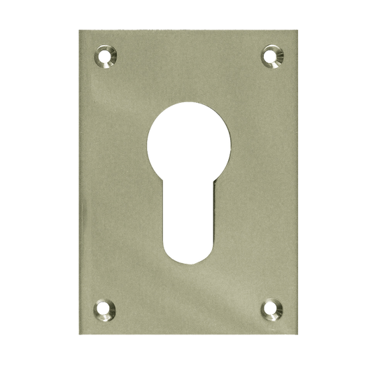 SOUBER TOOLS EE1 Front Fix Euro Escutcheon - SC