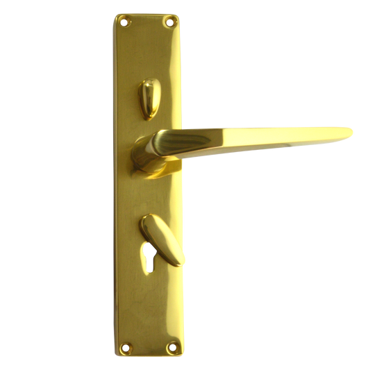 FRANK ALLART 1218 & 1220 Handle Door Furniture To Suit Chubb 3R35 - PB Large Handle