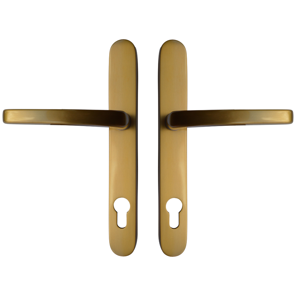 ASEC Vital Lever Long Backplate 211mm Screw Centres - Brushed Gold