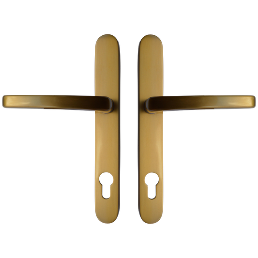 ASEC Vital Lever Long Backplate 211mm Screw Centres - Brushed Gold